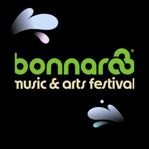 Bonnaroo Music & Arts Festival: The Strokes, Rufus Du Sol & Noah Kahan - 4 Day Pass